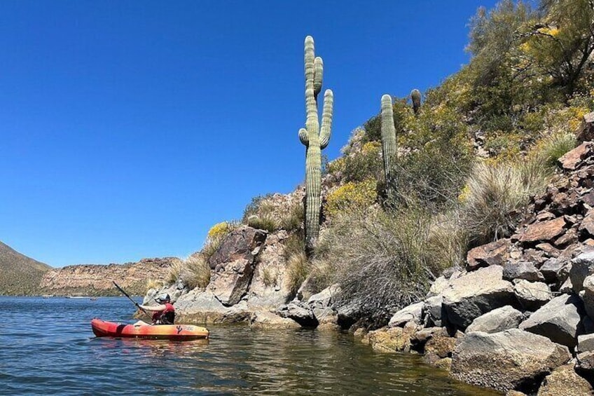 Extended 3 Hour Canyon & Cliffside Kayaking on Saguaro Lake 