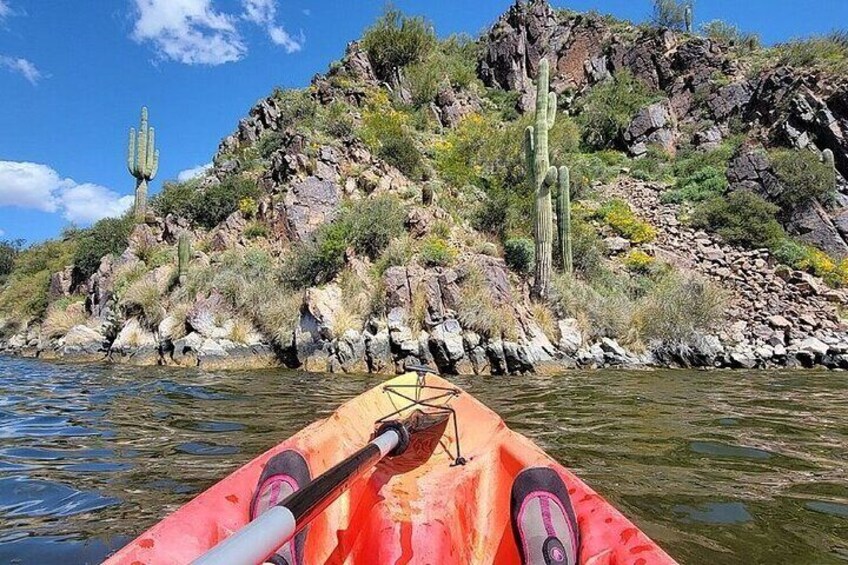 Extended 3 Hour Canyon & Cliffside Kayaking on Saguaro Lake 