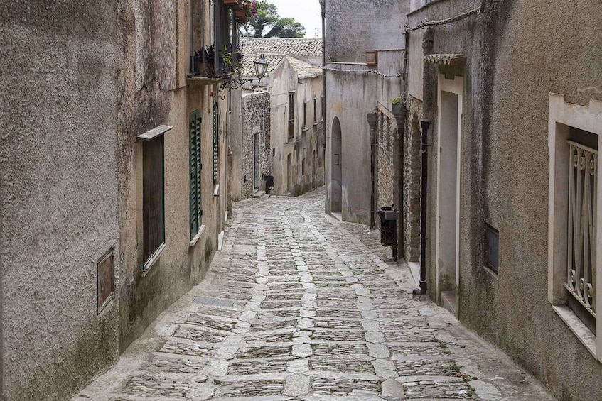 Picture 3 for Activity From Palermo: Erice, Salt Pans, and Segesta Day Trip