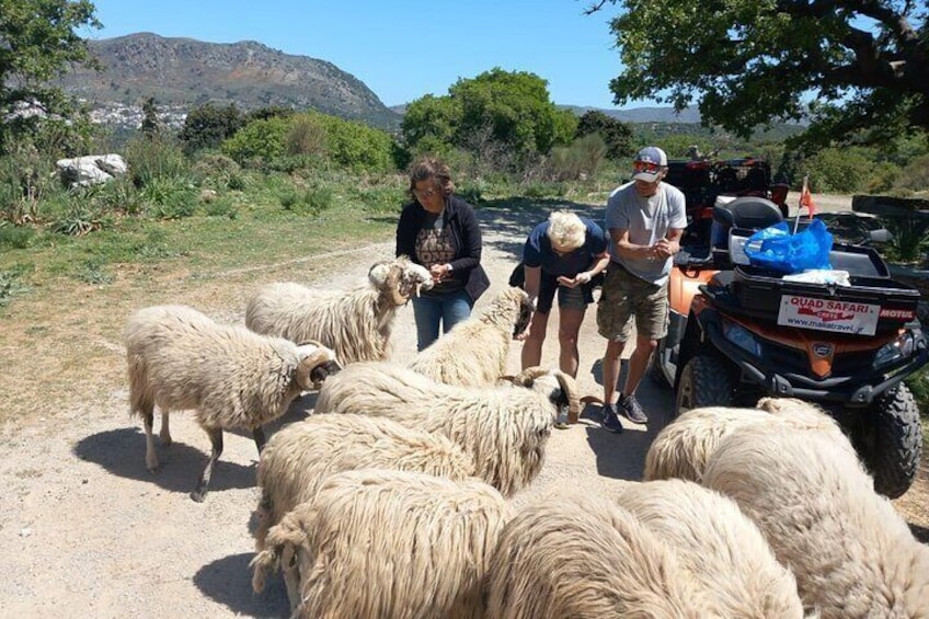 Off-road Buggy Safari in Crete with a Guide
