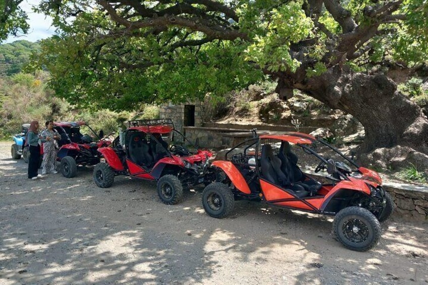 Off-road Buggy Safari in Crete with a Guide