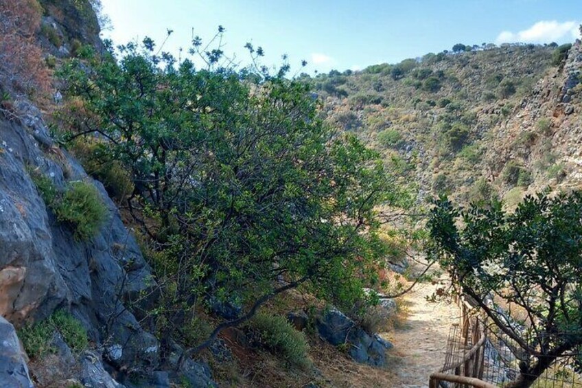 Off-road Buggy Safari in Crete with a Guide