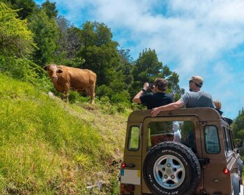 Madeira: Skywalk, Porto Moniz, Seixal and Fanal Jeep Tour