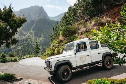 Funchal: Porto Moniz, Fanal Bos en Cabo Girao Jeep Tour