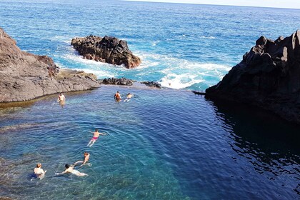 Madeira: Skywalk, Porto Moniz Volcanic Pools, and Fanal Tour