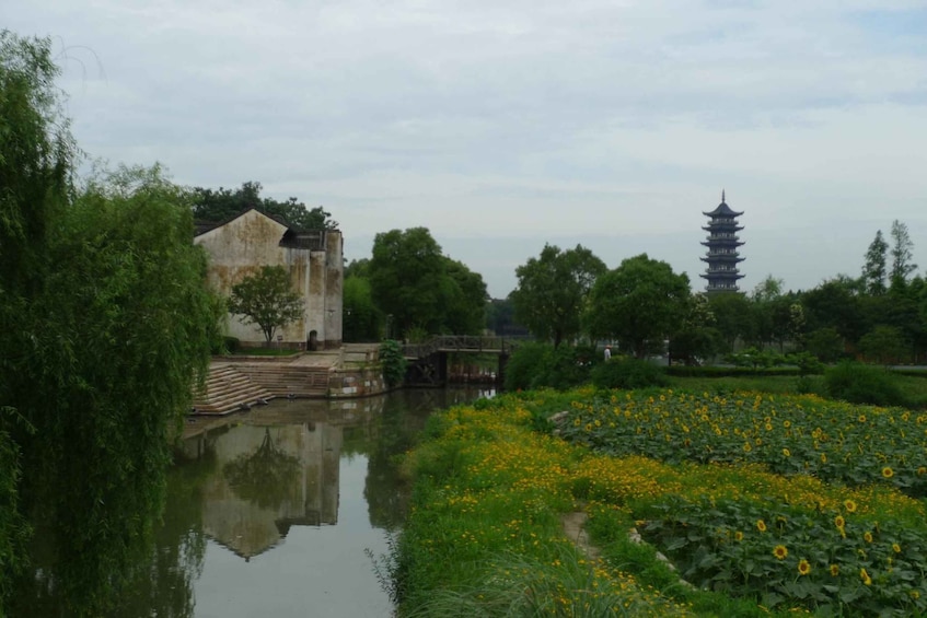 Picture 8 for Activity Wuzhen Private Full-Day Tour from Shanghai