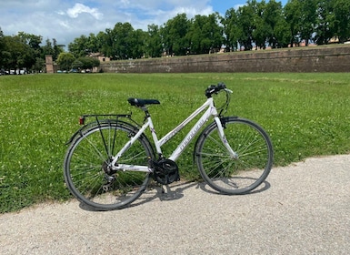 Lucca: Trekking Bike Rental