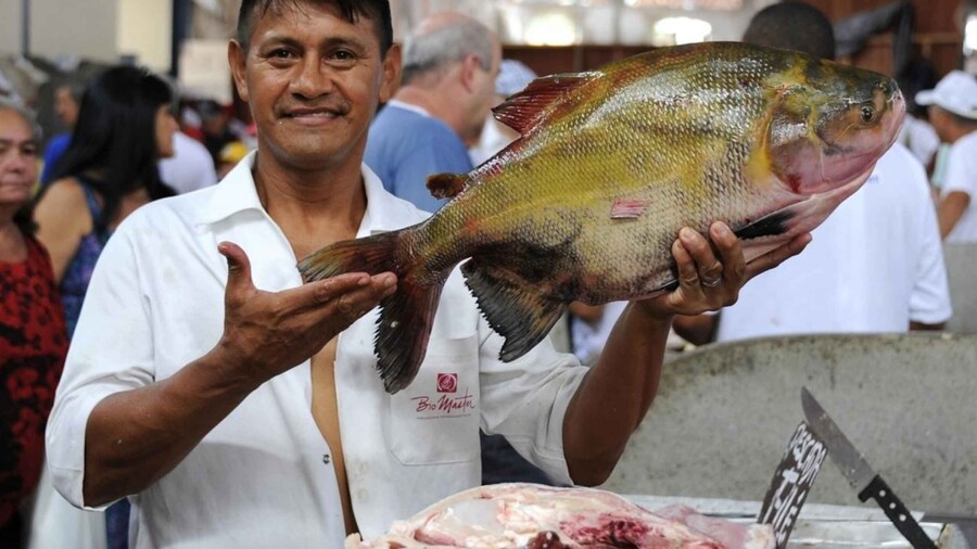 Belém: 4 Hours City Tour with Ver-o-Peso Market Visit