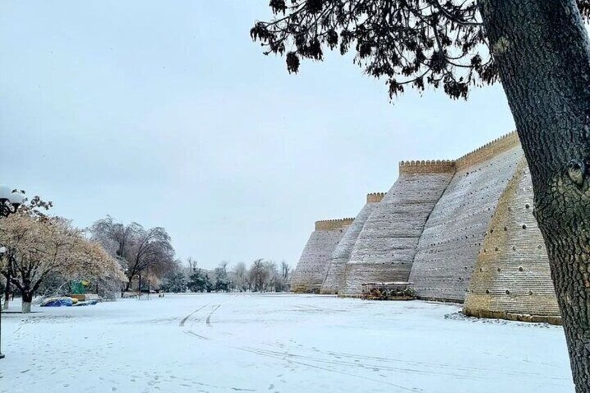 All in One Day Tour of Bukhara from Tashkent