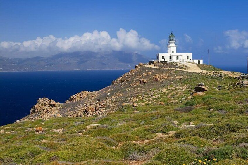 Half Day Private Tour Island with a Local Guide in Mykonos