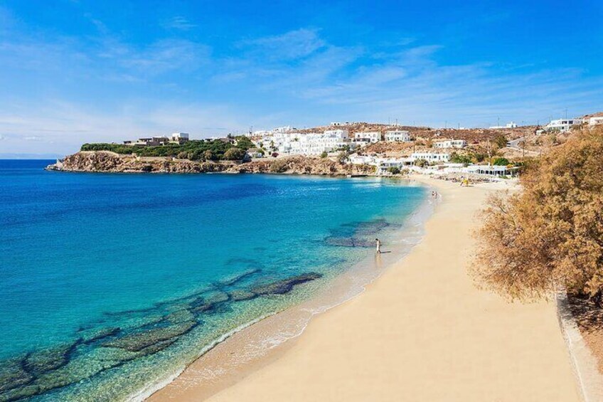 Half Day Private Tour Island with a Local Guide in Mykonos