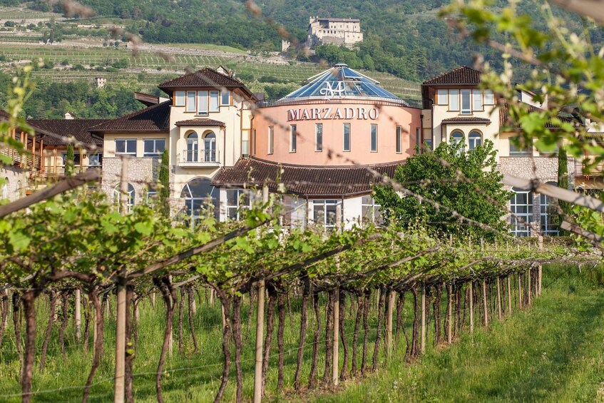 Lake Molveno and Grappa Distillery Tour with Tastings