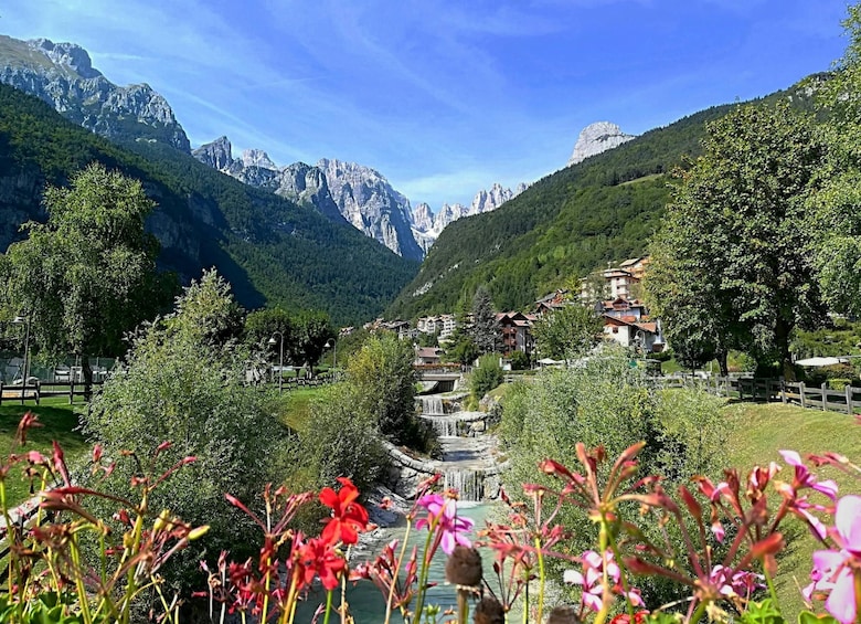 Lake Molveno and Grappa Distillery Tour with Tastings