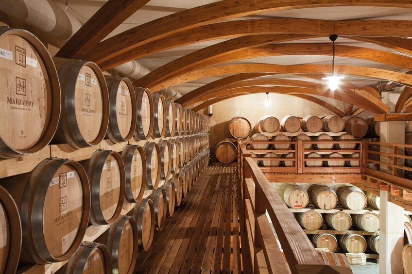 Lake Molveno and Grappa Distillery Tour with Tastings