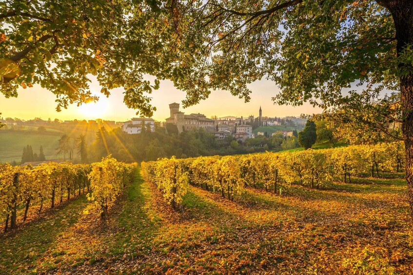 Picture 2 for Activity From Bologna or Modena: Chianti Experience with Lunch