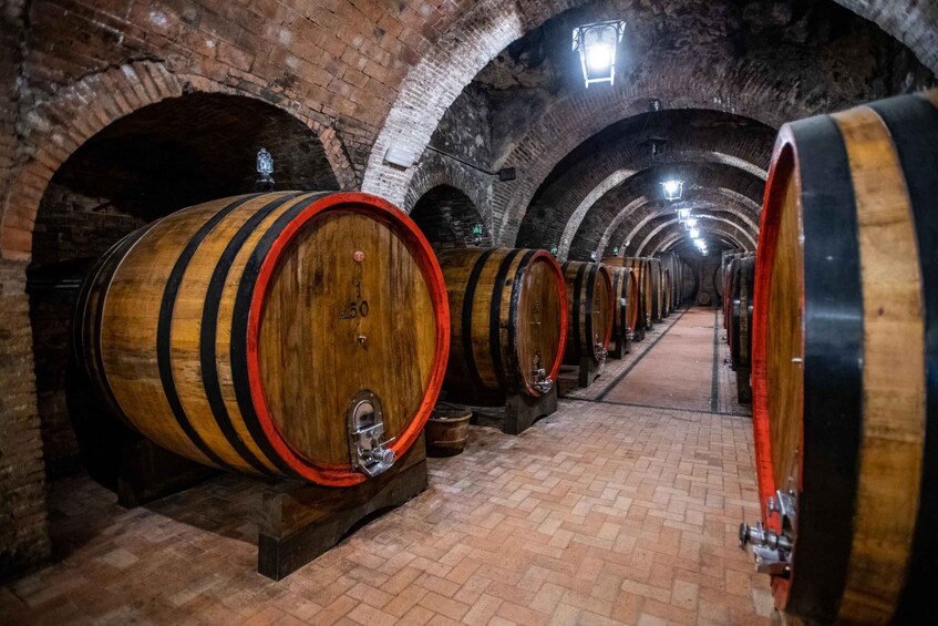 Picture 2 for Activity Montepulciano: Historical Cellars Guided Tour & Wine Tasting