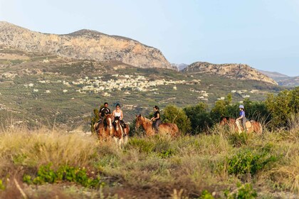 Héraklion : Randonnée à cheval à Finikia excursion avec déjeuner ou dîner