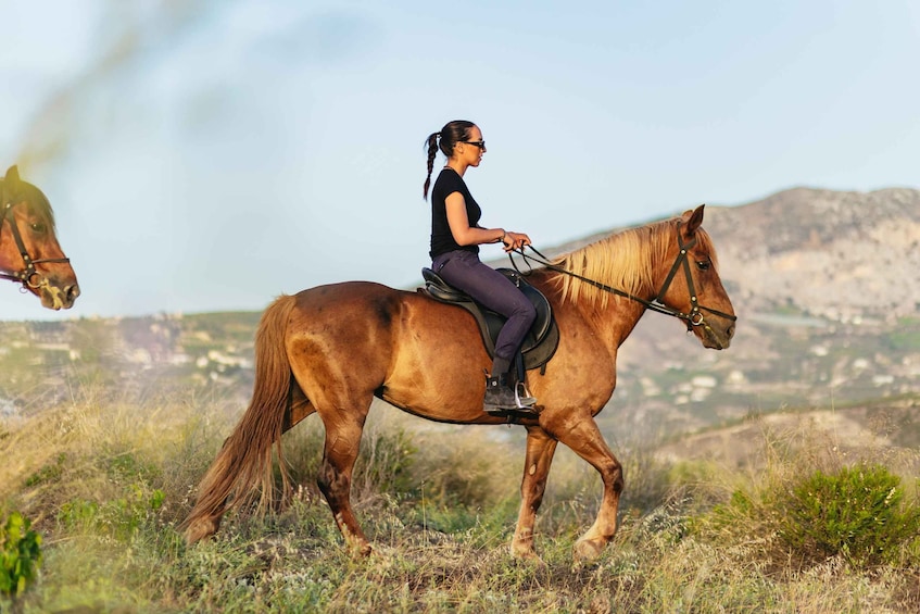 Picture 11 for Activity Heraklion: Finikia Horse Riding Tour with Lunch or Dinner