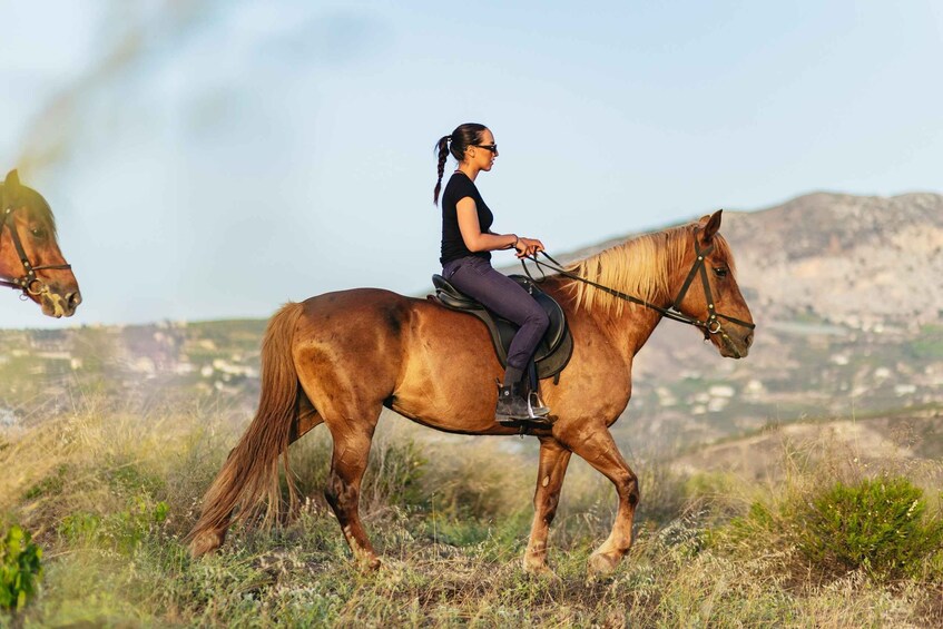 Picture 11 for Activity Heraklion: Finikia Horse Riding Tour with Lunch or Dinner