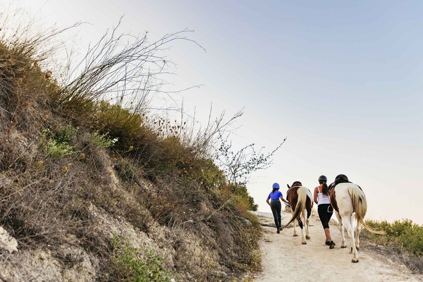 Picture 9 for Activity Heraklion: Finikia Horse Riding Tour with Lunch or Dinner