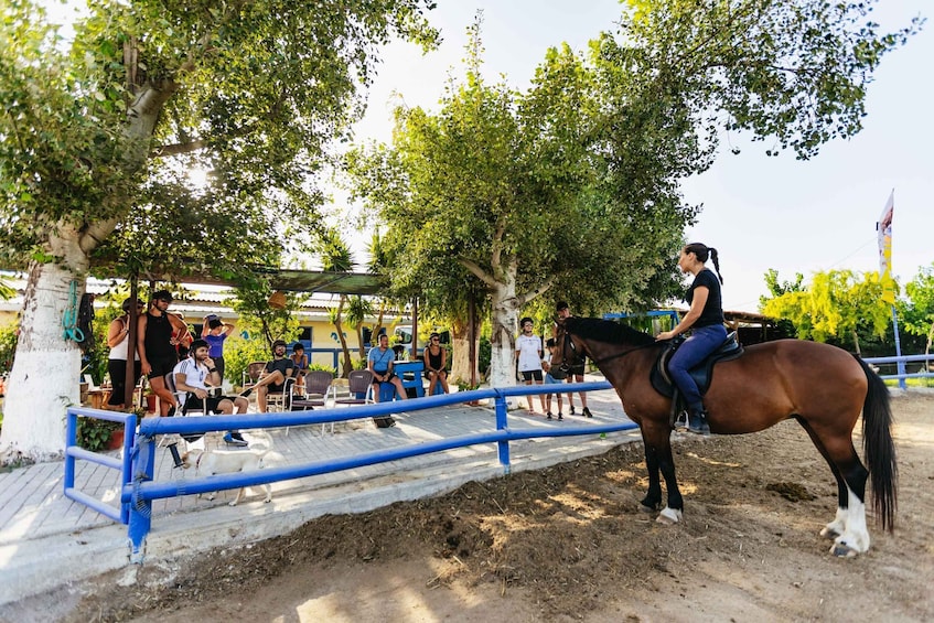 Picture 8 for Activity Heraklion: Finikia Horse Riding Day Tour with Lunch