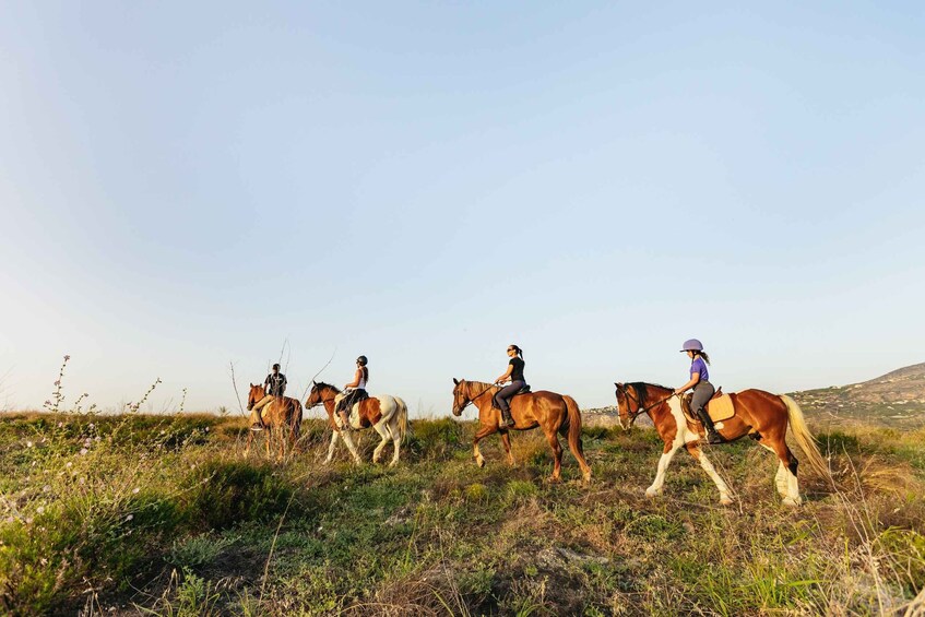 Picture 1 for Activity Heraklion: Finikia Horse Riding Tour with Lunch or Dinner