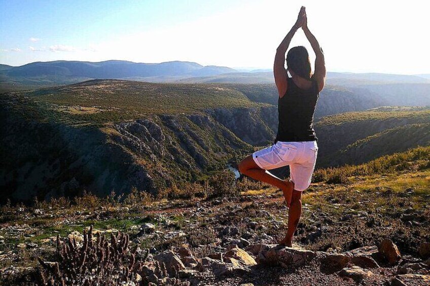 Tree pose - be stable and rooted on this journey.