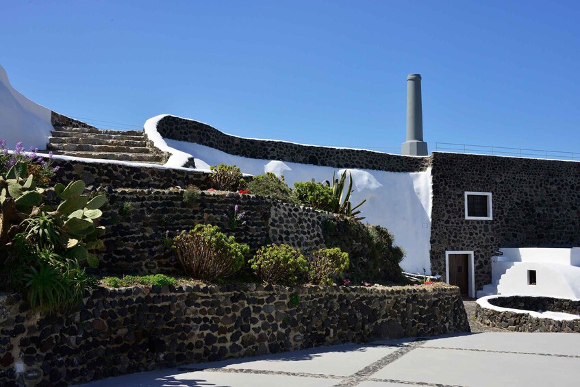 Picture 7 for Activity Santorini: Wine Tasting Tour to 3 Wineries with Transfer
