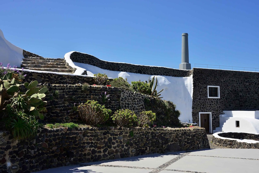 Picture 7 for Activity Santorini: Wine Tasting Tour to 3 Wineries with Transfer