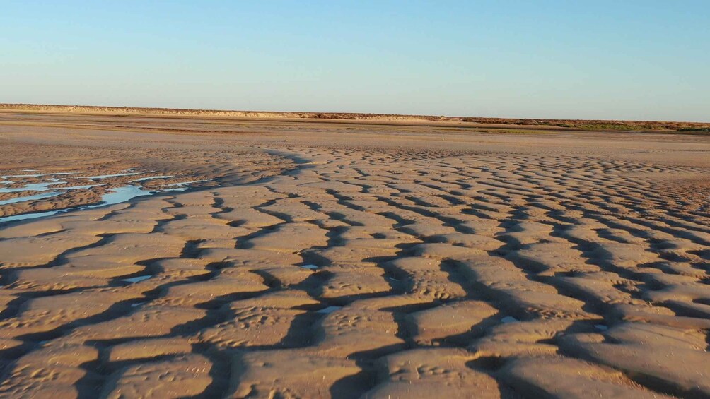 Picture 9 for Activity From Olhão: Ria Formosa Sunset Tour