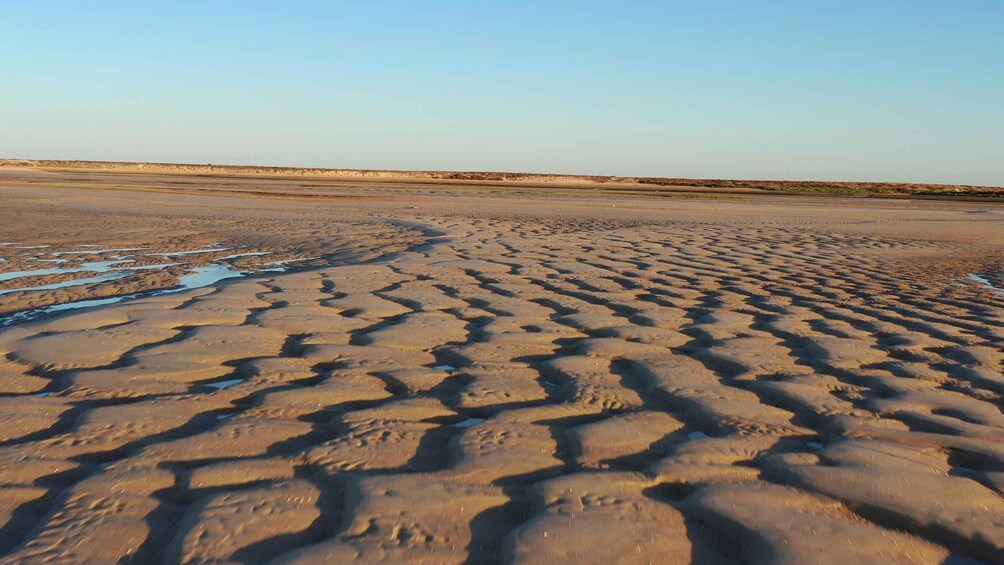 Picture 9 for Activity From Olhão: Ria Formosa Sunset Island Tour