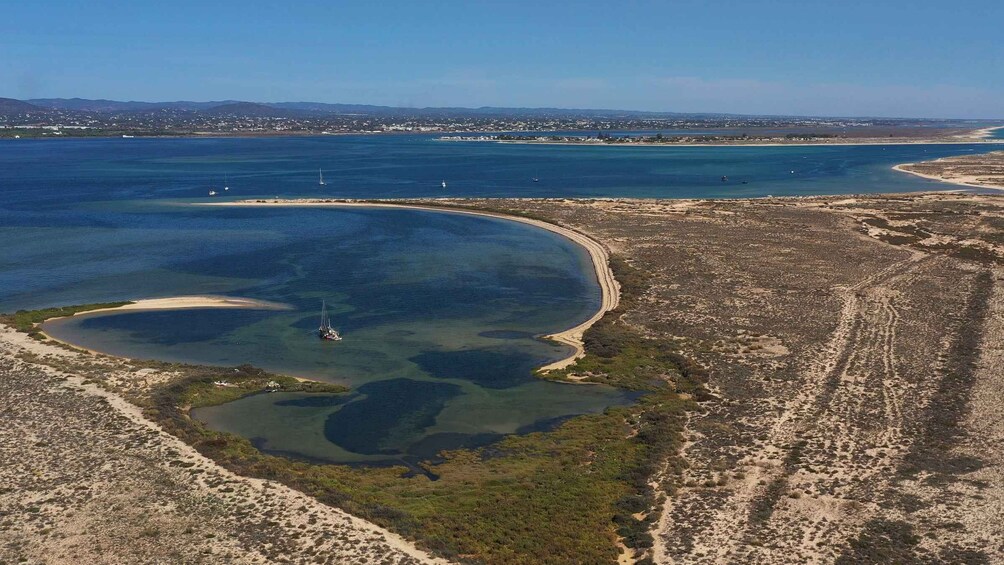 Picture 5 for Activity From Olhão: Ria Formosa Sunset Island Tour