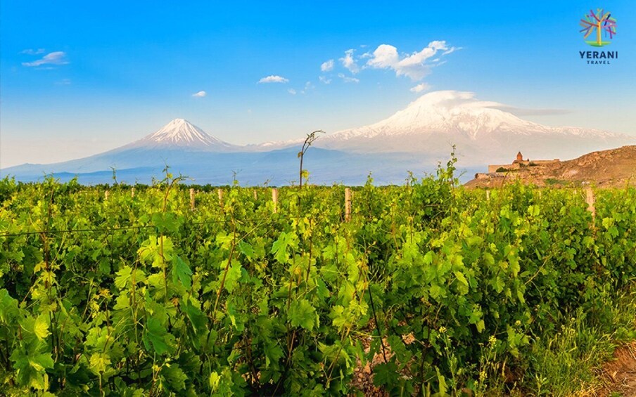 Picture 11 for Activity From Yerevan: Khorvirap, Noravank, & Areni Winery Day Trip