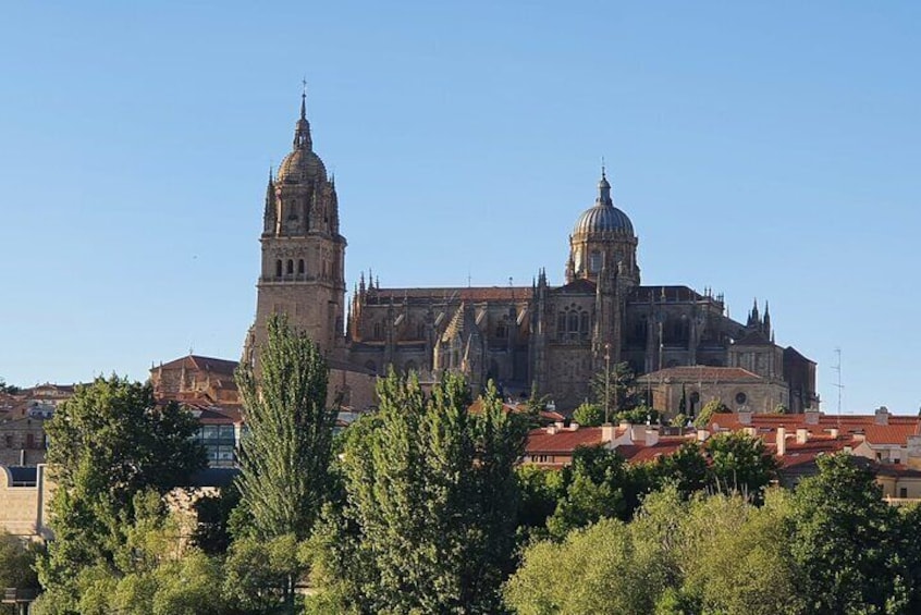 Complete Private Guided Tour of the City of Salamanca