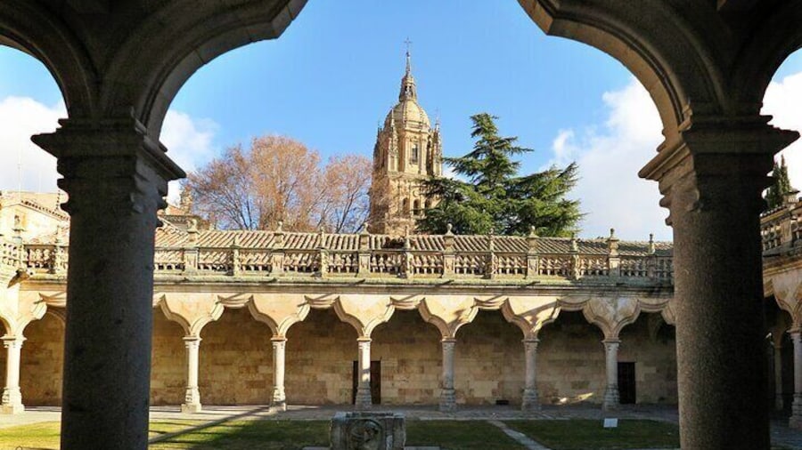 Complete Private Guided Tour of the City of Salamanca