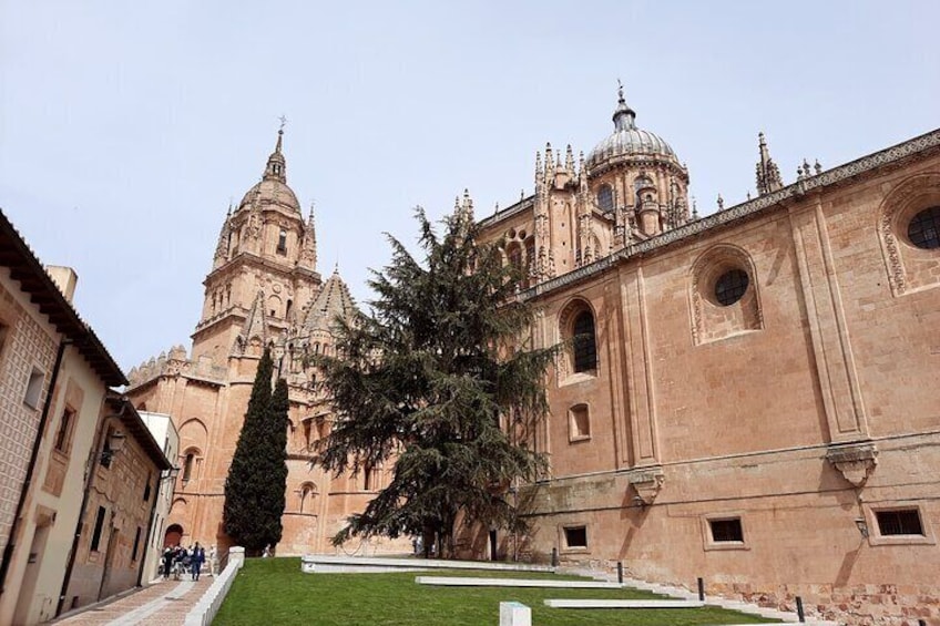 Complete Private Guided Tour of the City of Salamanca