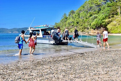 Bay of Islands: 4.5 Hour Day Cruise and Island Getaway Tour