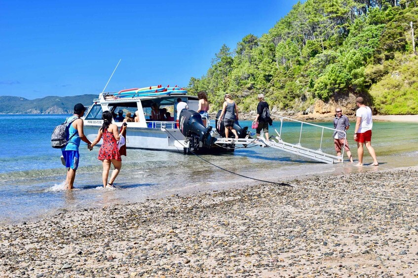 Bay of Islands: 4.5 Hour Day Cruise and Island Getaway Tour