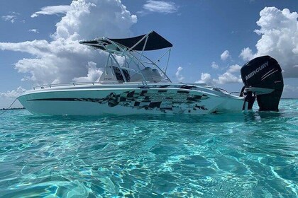 Stingray City Experience Plus Two Snorkelling spots Private Boat