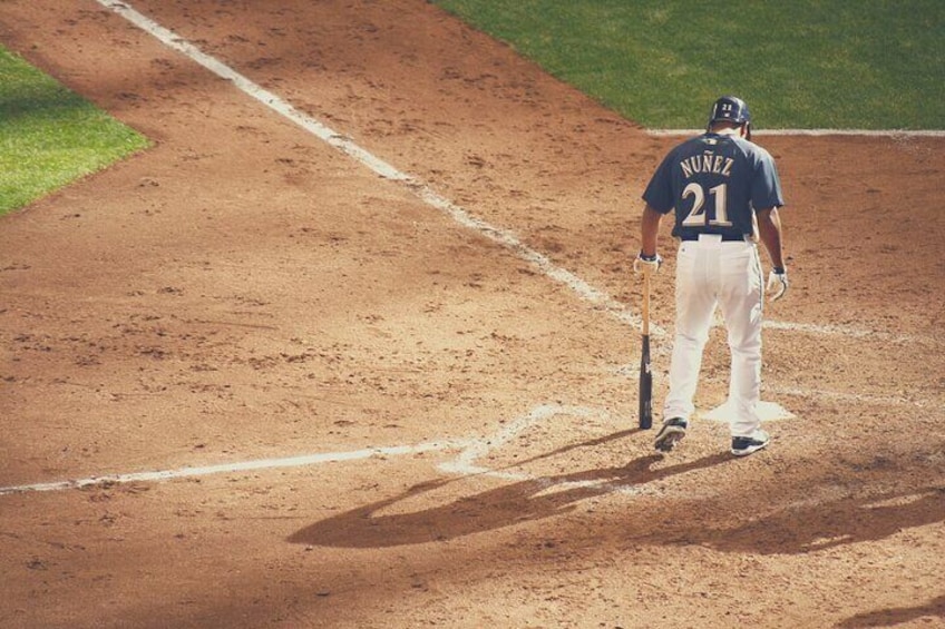 Milwaukee Brewers Baseball Game at American Family Field