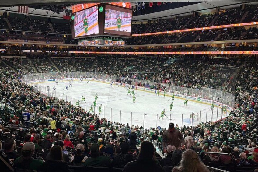 Minnesota Wild Ice Hockey Game at Xcel Energy Center