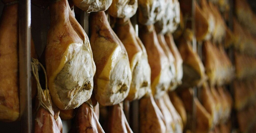 Picture 3 for Activity From Parma: Parmigiano and Parma Ham Guided Food Tour