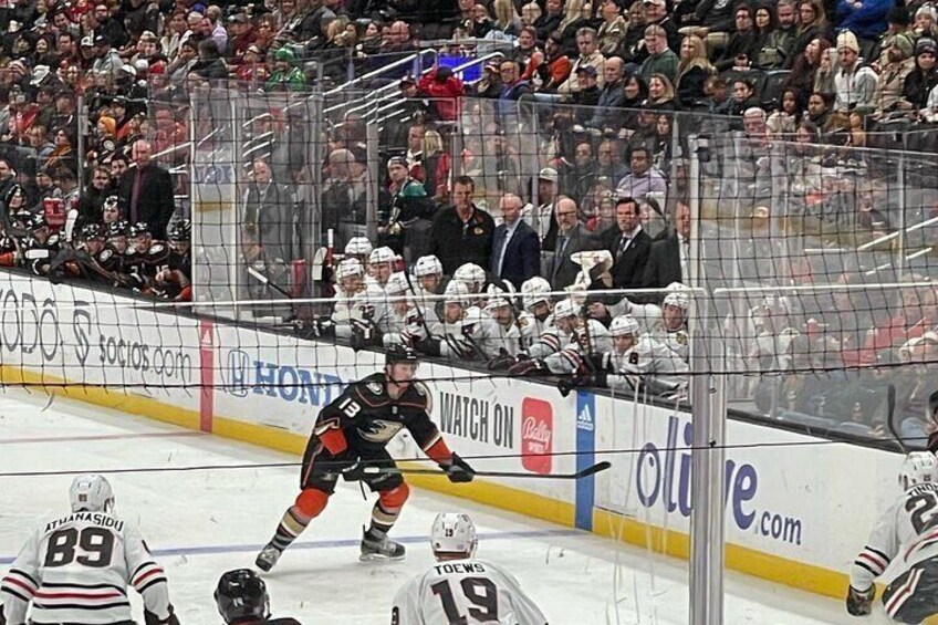 Anaheim Ducks Ice Hockey Game at Honda Center