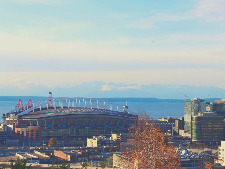 Seattle Seahawks Football Game at Lumen Field