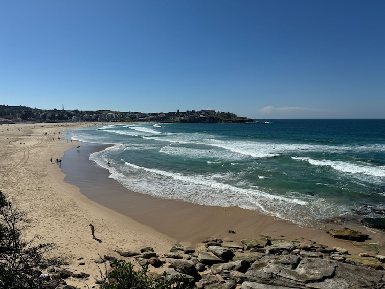 Sydney Sightseeing Including Bondi Beach