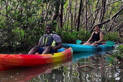 Self Guided EcoTour: Clear/Standard Kayaks -Bonita Springs