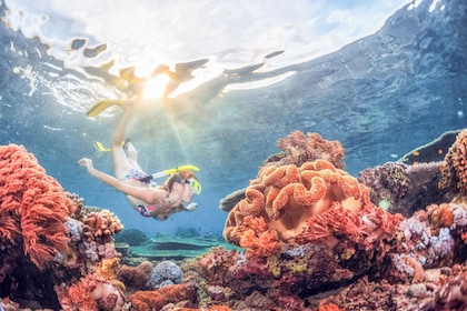 Bali : Journée de plongée libre au lagon bleu de Padangbai