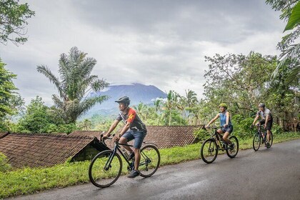 Mountain to Beach: Bali e-Bike Tour including Roundtrip Transfer