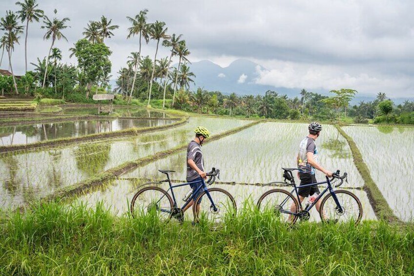 Green Hills to Blue Seas: Explore the Best of Bali on a Bicycle