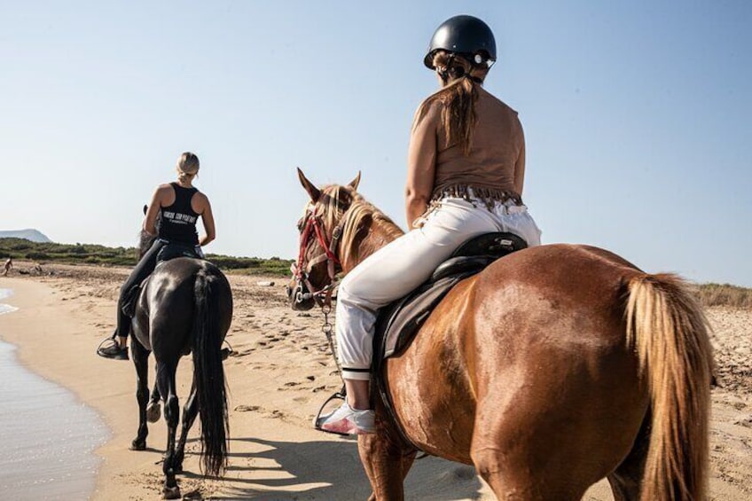 3-Hour Beach Horse Riding to Discover the Beauty of Alcudia Bay